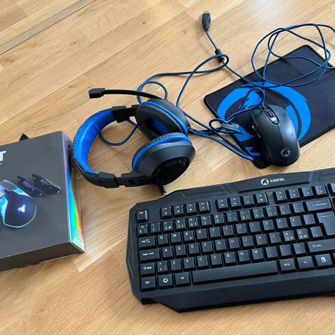 Pent og lite brukt tastatur, headset m/mic, datamusx2 og musematte selges samlet