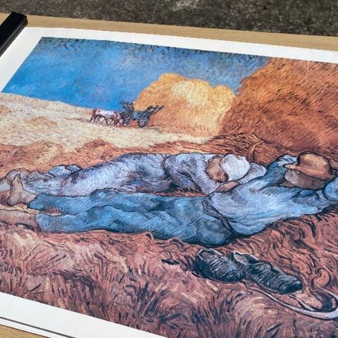 Van Gogh plakat 50x70 cm