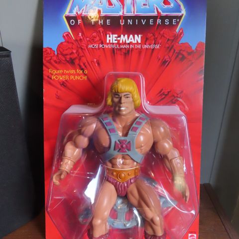 Masters of the universe Figurer