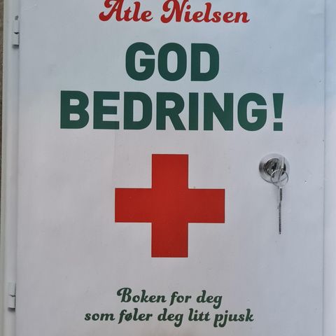 Atle Nielsen God bedring! ( boka for deg som føler deg litt pjusk)