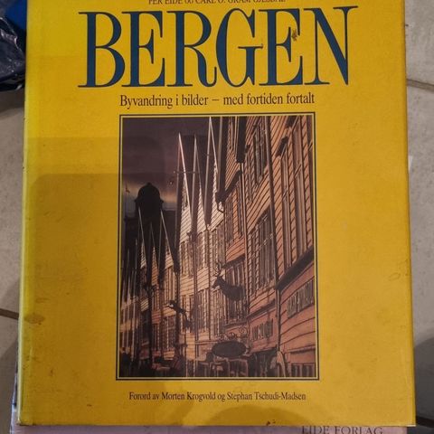 Bergensbøker: Bergen: Byvandring i bilder-med fortiden fortalt.