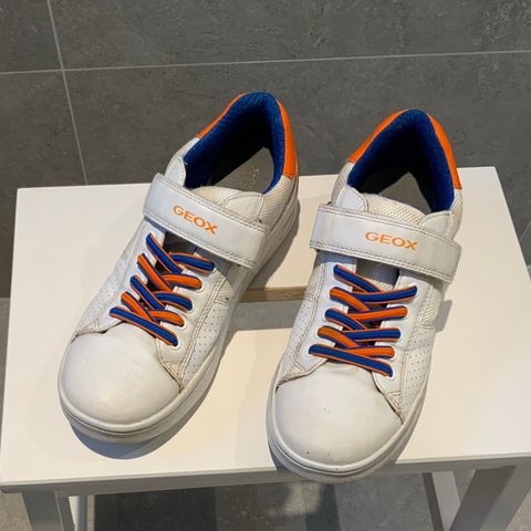 GEOX sneakers str. 36