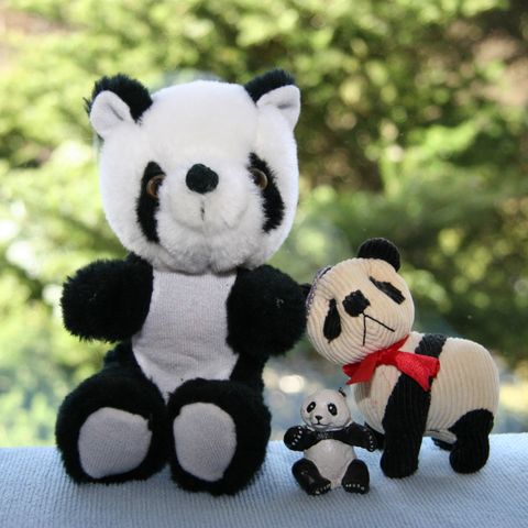 Liten vintage panda familie - tre ulike pandaer