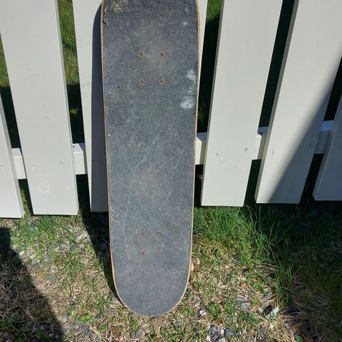 Skateboard