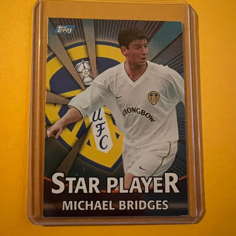 Michael Bridges Blue foil premier gold 2001 fotballkort
