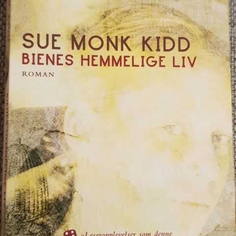 Sue Monk Kidd - Bienes hemmelige liv