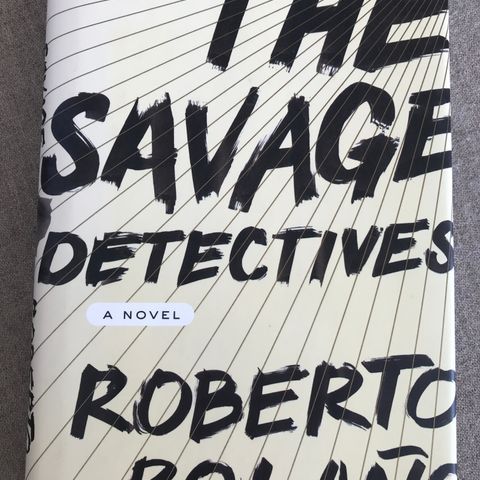 Roberto Bolano - The Savage Detectives