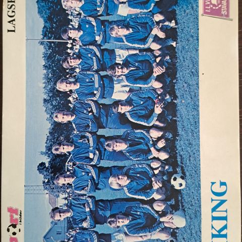 Viking Fotballkort 1979/80