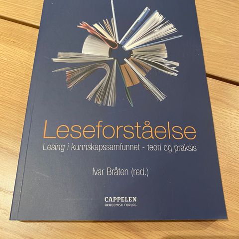 Leseforståelse - Lesing i kunnskapssamfunnet - teori og praksis