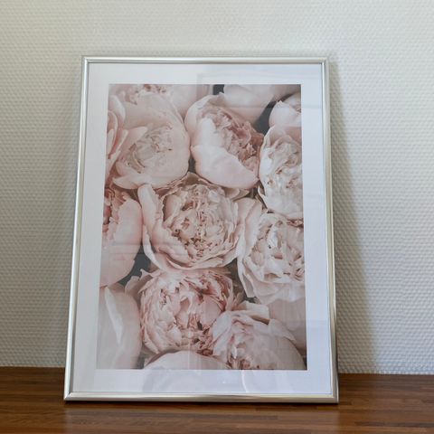 Bilde - Pastel Peonies 30x40