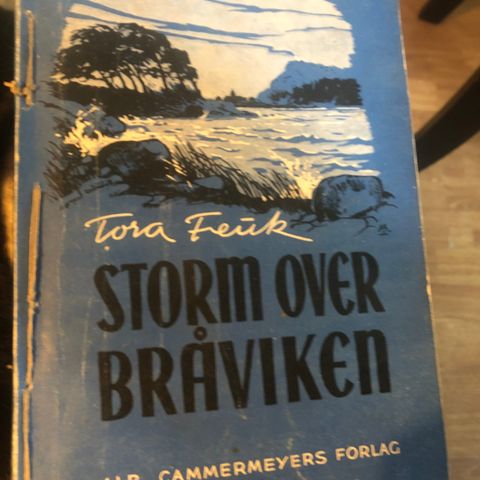 Storm over Bråviken