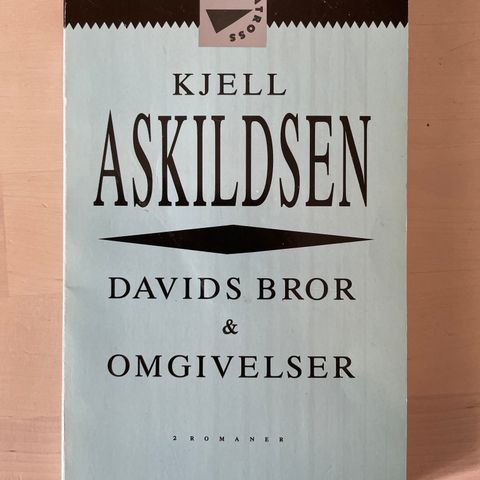 Kjell Askildsen «Davids bror» og «Omgivelser»