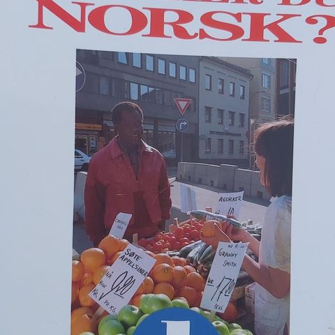 Snakker du norsk? GRUNNBOK.