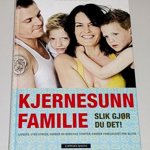 KJERNESUNN FAMILIE BOK.SLIK GJØR DU DET.NINKA-BERNADETTE MAURITSON.