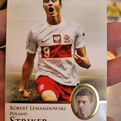 Lewandowski Futera kort
