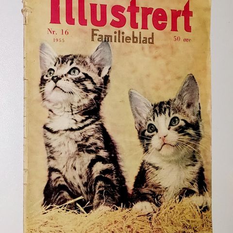 ILLUSTRERT FAMILIEBLAD NR.16-1955.