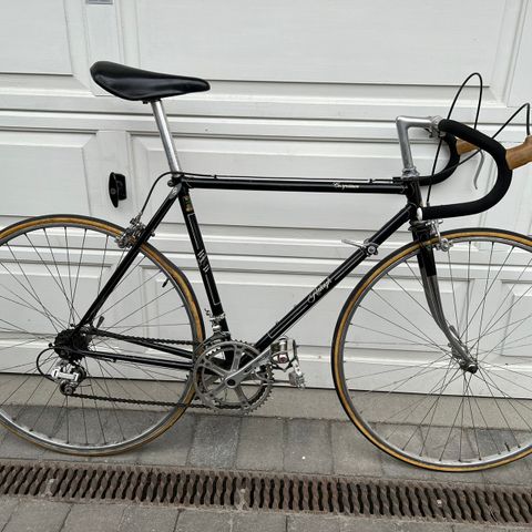 Retro Raleigh Competition racer