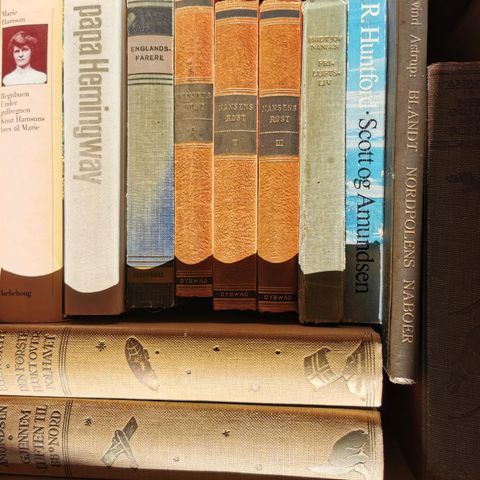 Diverse bøker fra bl.a. polfarerne
