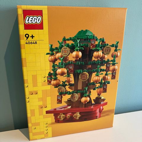 Lego 40648