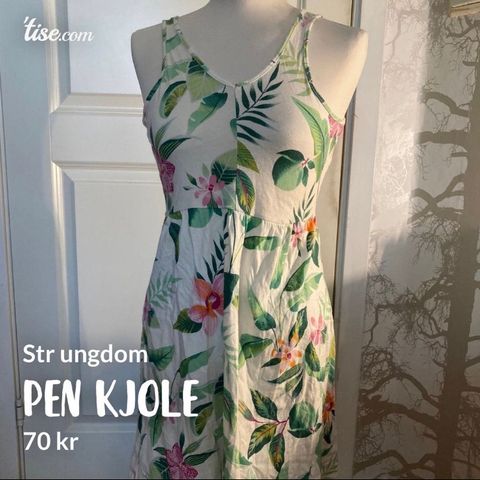 Pen kjole ungdom