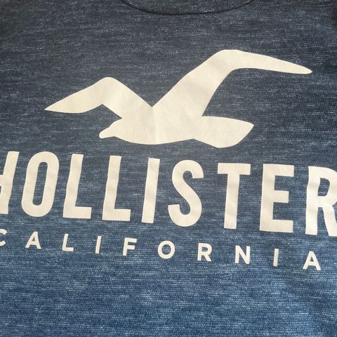 Pent brukt Hollister California genser str S