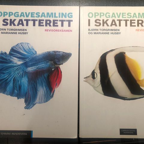 Skatterett oppgavesamling og løsning