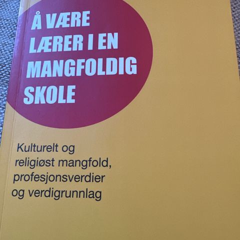 Å være lærer i en mangfoldig skole