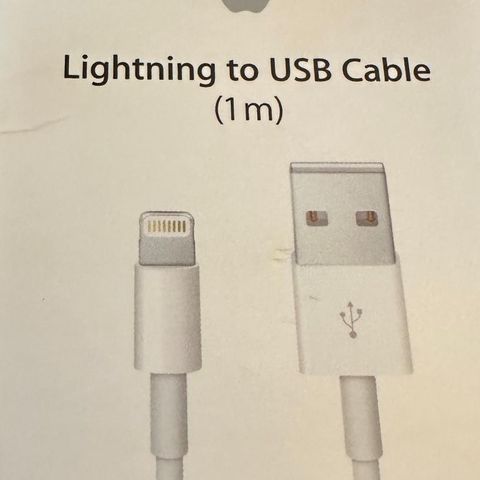 Apple Lightning to USB Cable