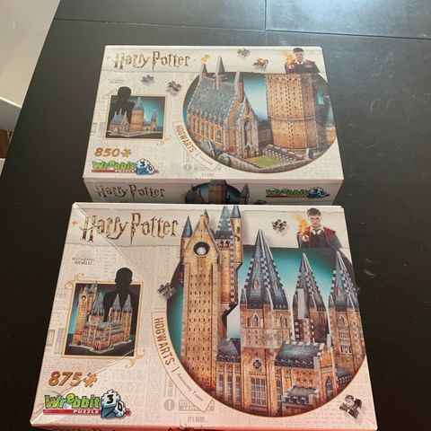 Harry Potter 3D puzzle