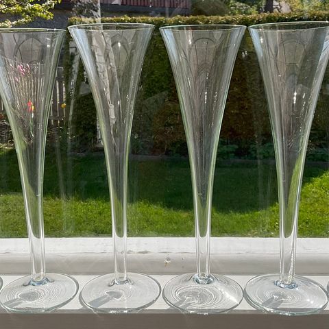 Champagne glass/ flutes