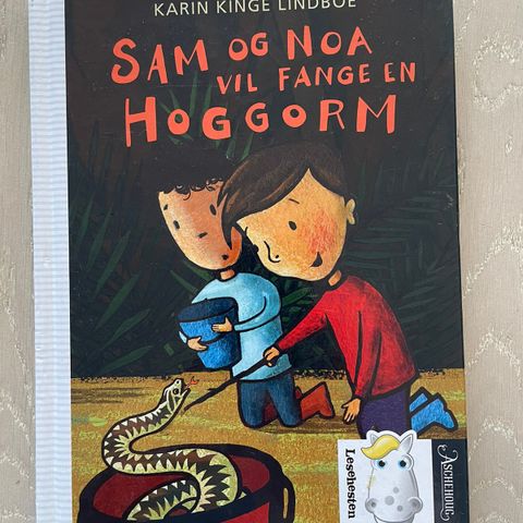 Sam og Noa