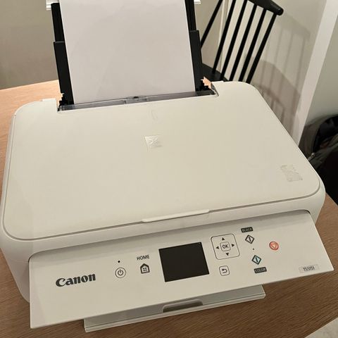 Canon printer TS5151