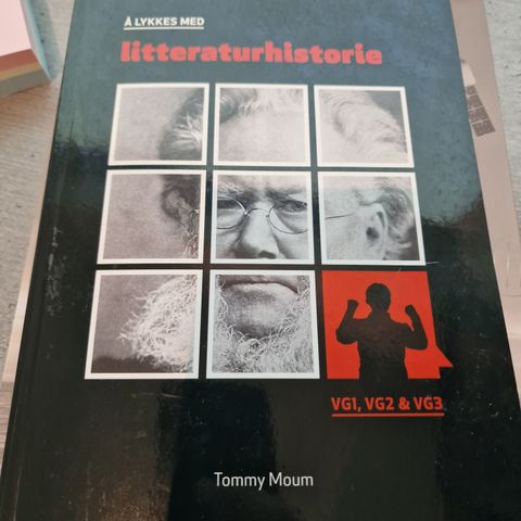 Å lykkes me litteraturhistorie