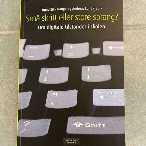 Små skritt eller store sprang?