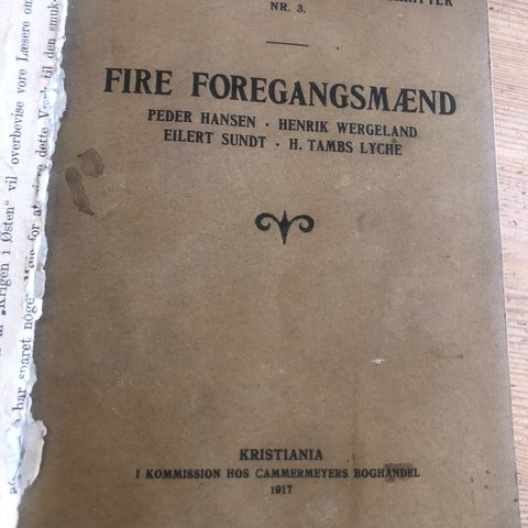 Norsk bibliotekforenings smaaskrifter. Nr 3. utgitt 1917