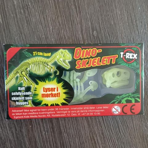 T- Rex- Dino- Skjelett- Som Lyser I Mørket