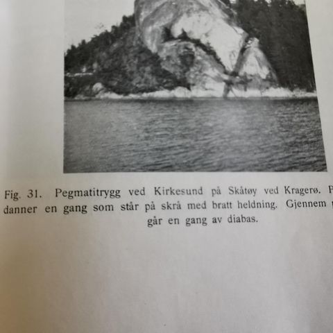 Unike NGU, Norges geologiske undersøkelser.