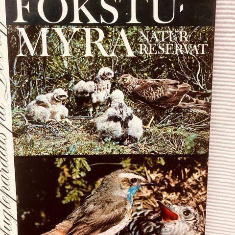 BokFrank: Mathis Kværne; Fokstumyra naturreservat (1977)