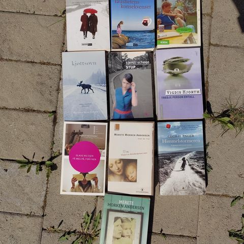 Pocketbokpakke - 10 bøker av kvinnelege, nordiske forfattere