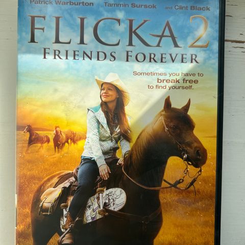 Flicka 2 (DVD)