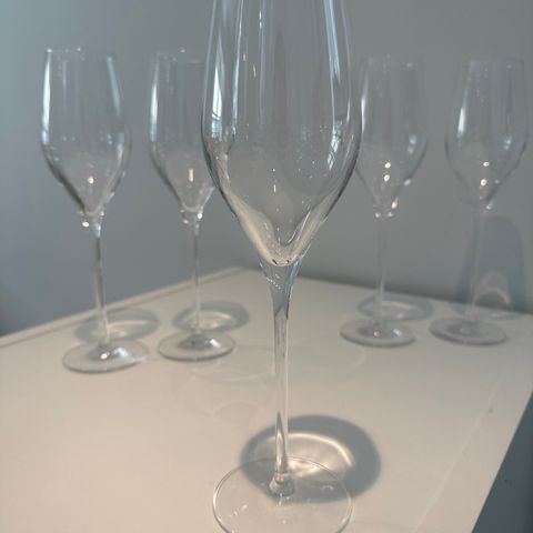 Champagneglass 5pkn