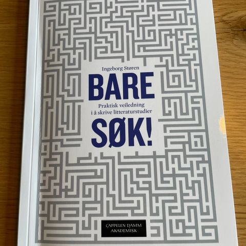 Bare Søk! Praktisk veiledning i å skrive litteraturstudier (2. utgave).