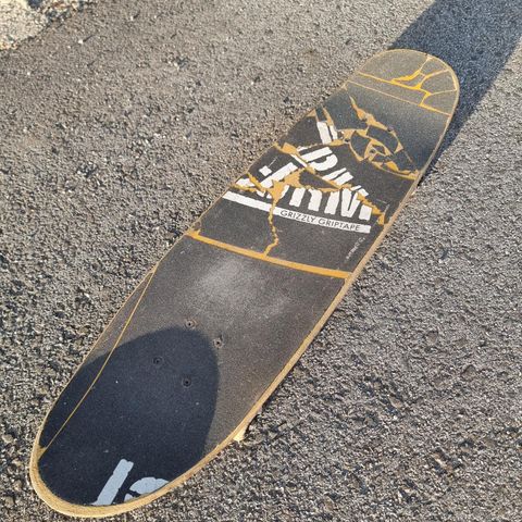 Skatebord