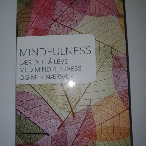 Mindfulness. Lær deg å leve med mindre stress og mer nærvær.