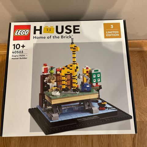 ny Lego House 40503 Dagny Holm - Master Builder