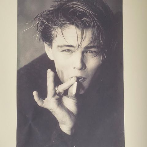 Leonardo diCaprio Poster