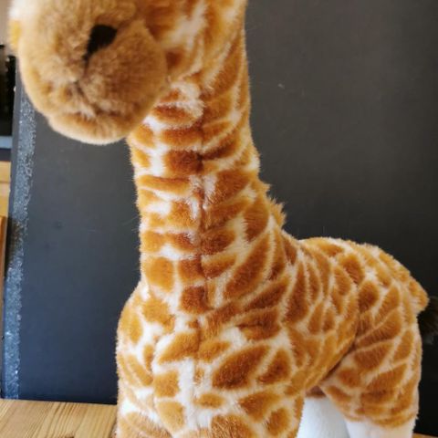 Giraff kosedyr