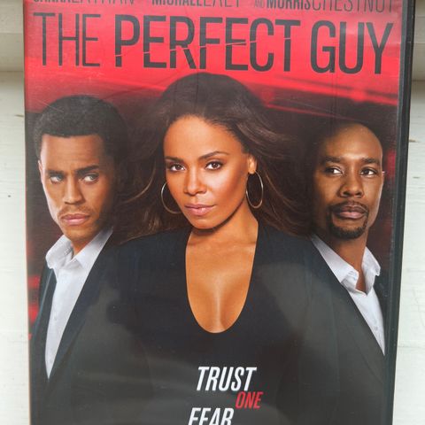 The Perfect Guy (DVD)