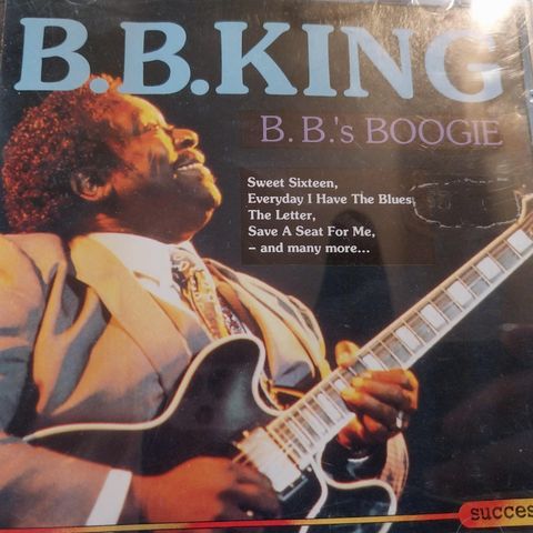 B.b.king.b.b.'s boogie.1993.precious lord.