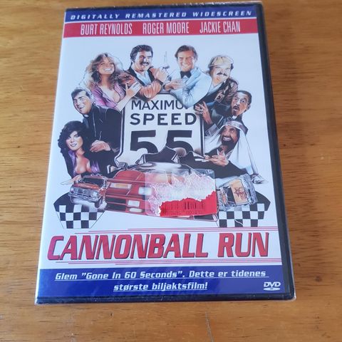 Cannonball Run Ny